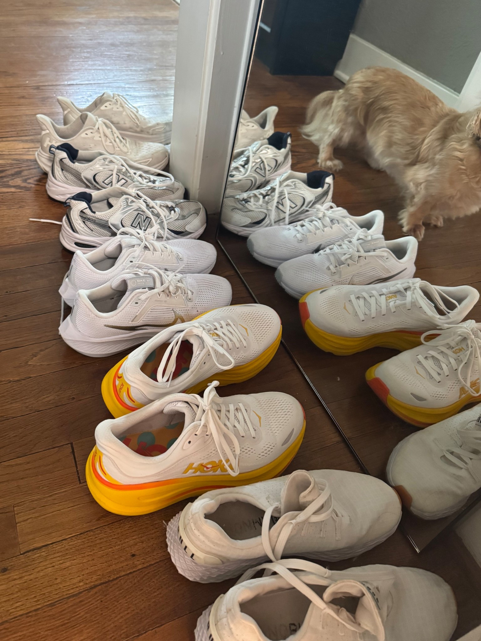 I have a slight addiction to white tennis shoes. No Bull, Hokas, Nike, & New Balance all in size 8!

#LTKParties #LTKSaleAlert #LTKShoeCrush