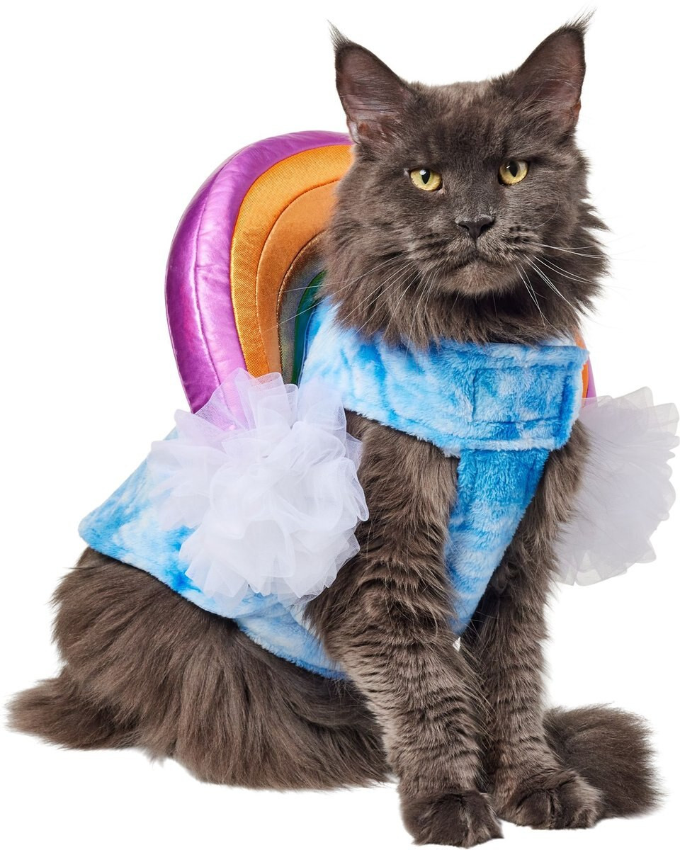 Frisco Over the Rainbow Dog & Cat Costume, Small | Chewy