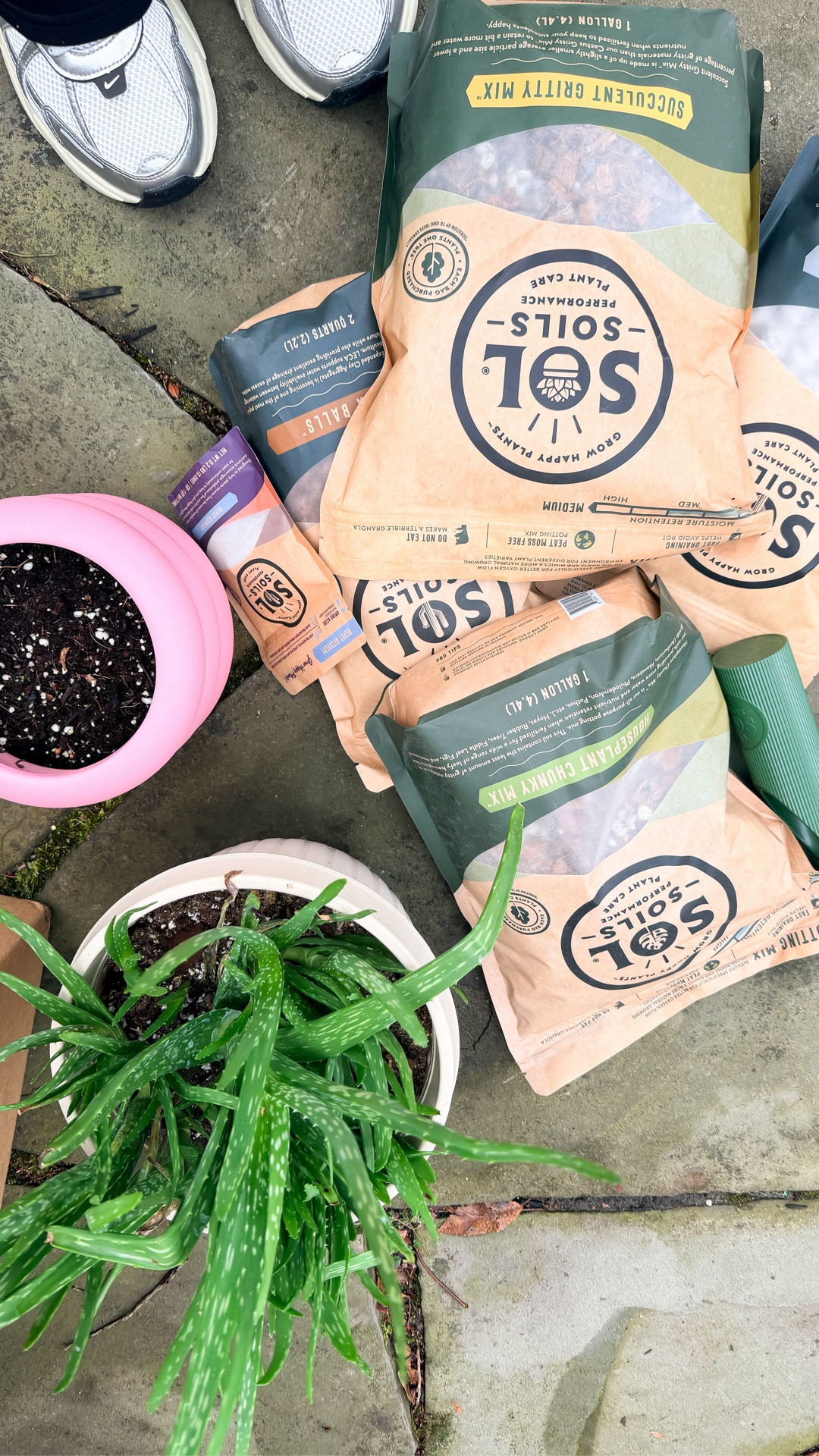 Going to the store to get more house plants.🪴 Trying to keep plants alive while juggling mom life, teaching, and everything in between… 😅

Started using Sol Soils and it’s honestly made plant care SO much easier 🌱
their mixes are super forgiving (aka hard to mess up 🙌)

if you’ve ever struggled with overwatering… you need this

#plantmom #solsoils #houseplants #easyplantcare #ltkhome #ltkfinds #plantlover #momlife

#LTKmomlife