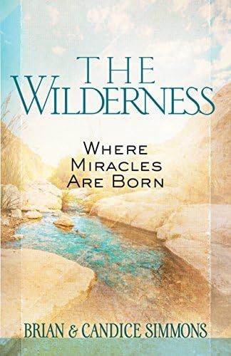 The Wilderness: Where Miracles Are Born (The Passion Translation) | Amazon (US)