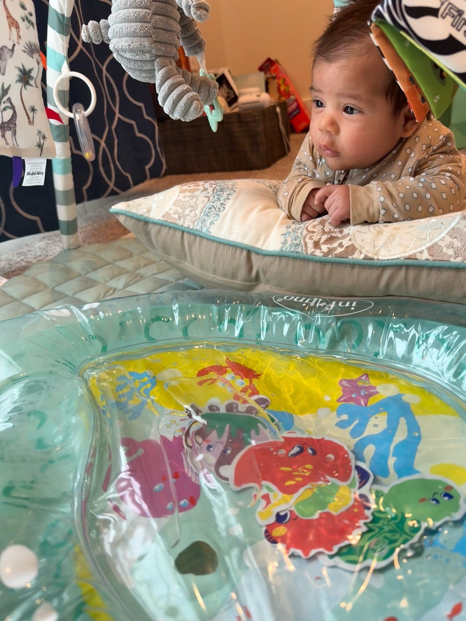 My baby loved his gym and toy for tummy time! 

#LTKBaby #LTKKids #LTKFamily