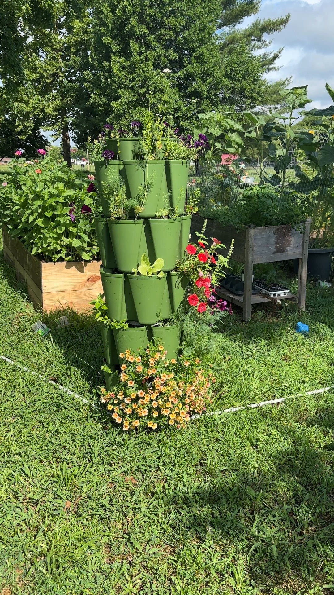 I can’t believe I caught this on camera (wait for it…). This vertical planter is the best! It’s great for small space gardening, patios, large yards, and everything in between. I plant a mixture of flowers and herbs in mine and it attracts so much beautiful wildlife 

#LTKSeasonal #LTKHome