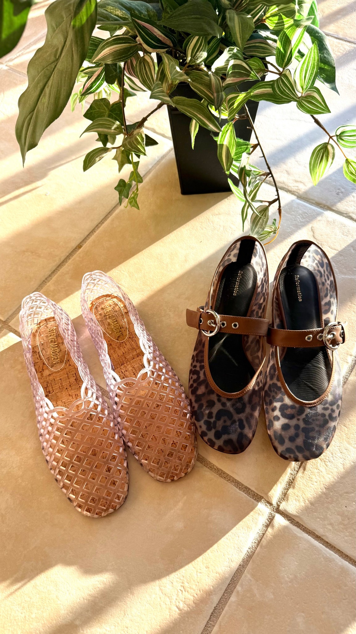 Trending…mesh flats and jelly shoes for a second season and I am hear for it. I have been wearing them for two season now and they are insanely comfortable. From Amazon to designer, I have not had an uncomfortable pair! 

#LTKShoeCrush #LTKFindsUnder50 #LTKU