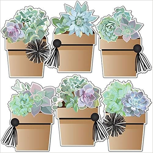Carson Dellosa – Potted Succulents Colorful Cut-Outs, Classroom Décor, 36 Pieces (Schoolgirl S... | Amazon (US)