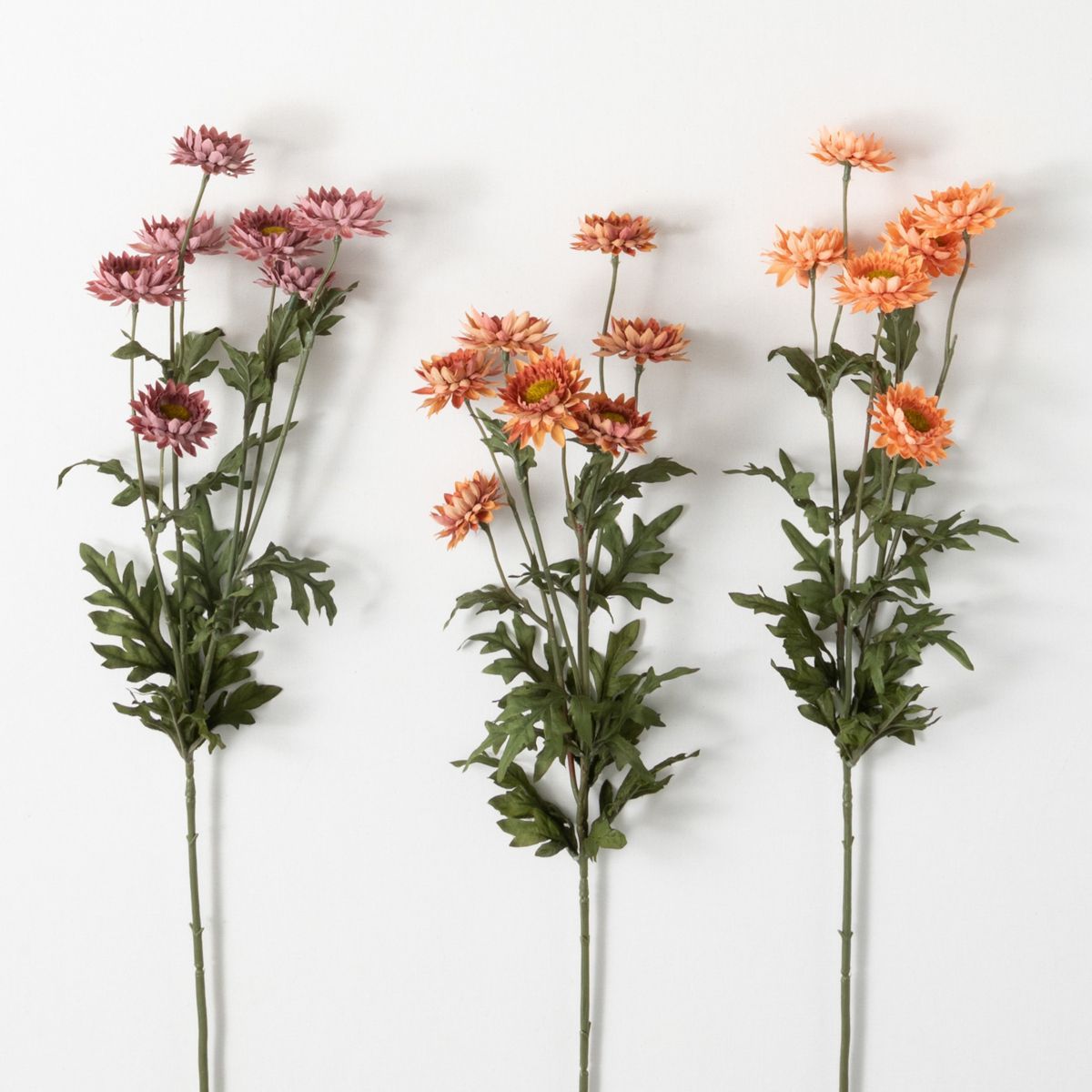 25.5"H Sullivans Fall Straw Flower Stem Trio; Multicolored | Target