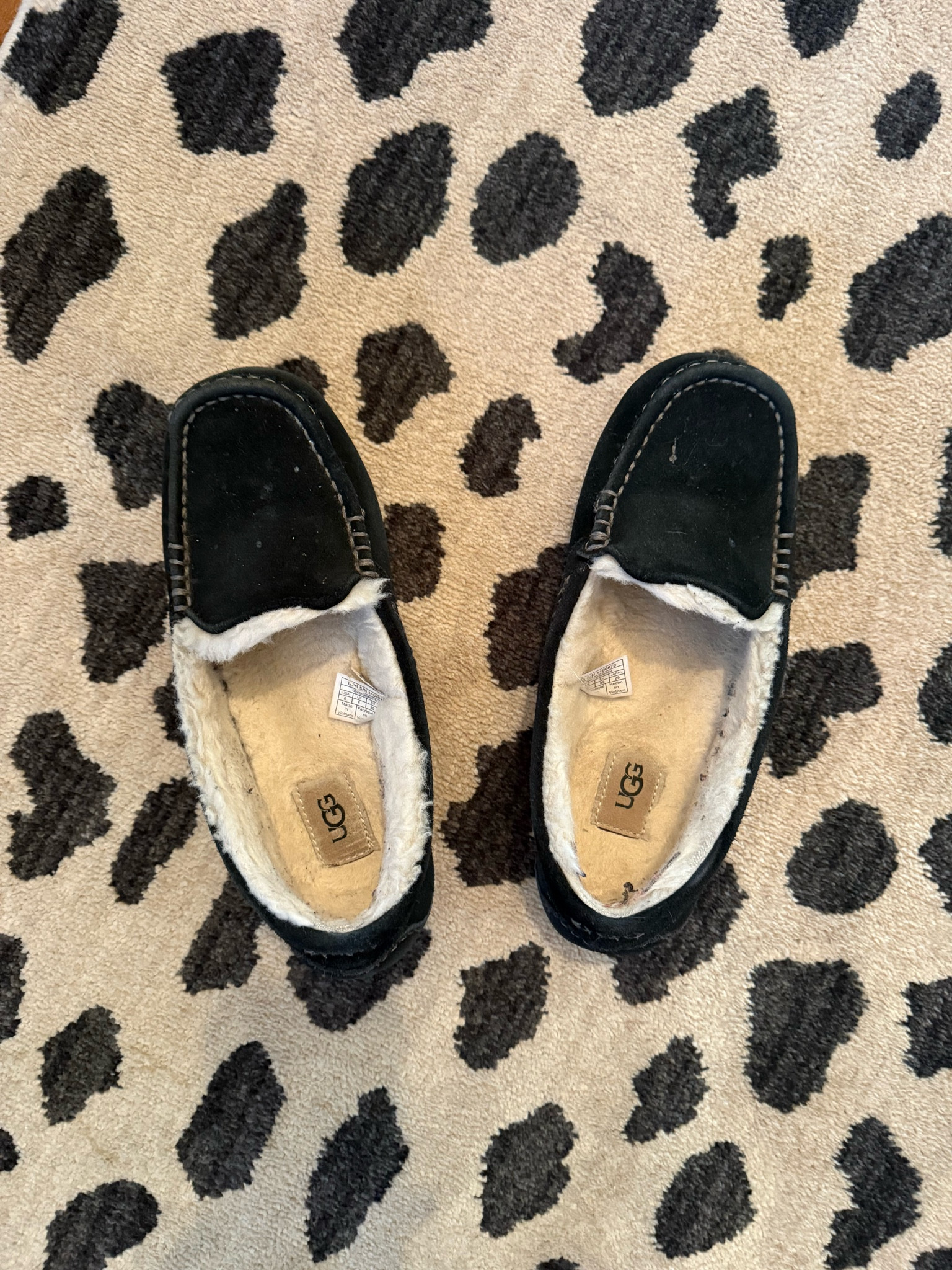 UGG replacement insoles to refresh your UGG boots or Ugg slippers 

Amazon, Nordstrom, UGG, slippers, boots, UGG sale 

#LTKShoeCrush #LTKFindsUnder50 #LTKSeasonal