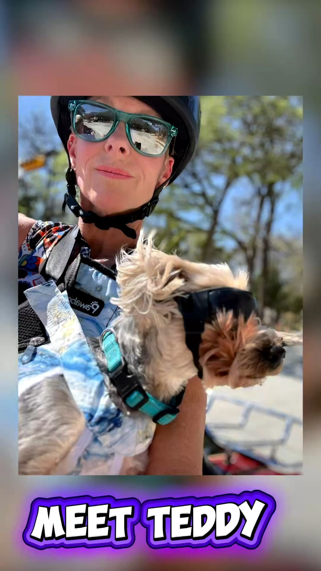 Just the three of us, a little sunshine, and the sound of the Harley beneath us. 

Teddy living his best life, me right there with him… and honestly, it doesn’t get much better than this.


#DogsofInstagram #HarleyLife #MotorcycleLife #DogMomLife #AdventureTogether

#LTKdayinmylife
