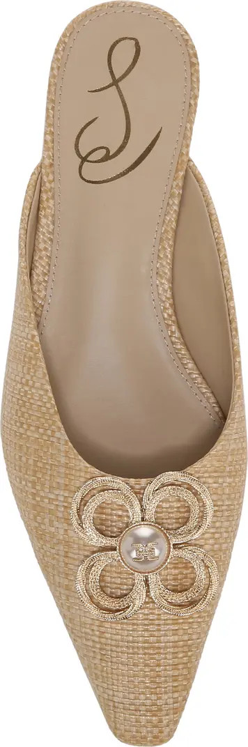 Jayden Embellished Pointed Toe Mule (Women) | Nordstrom