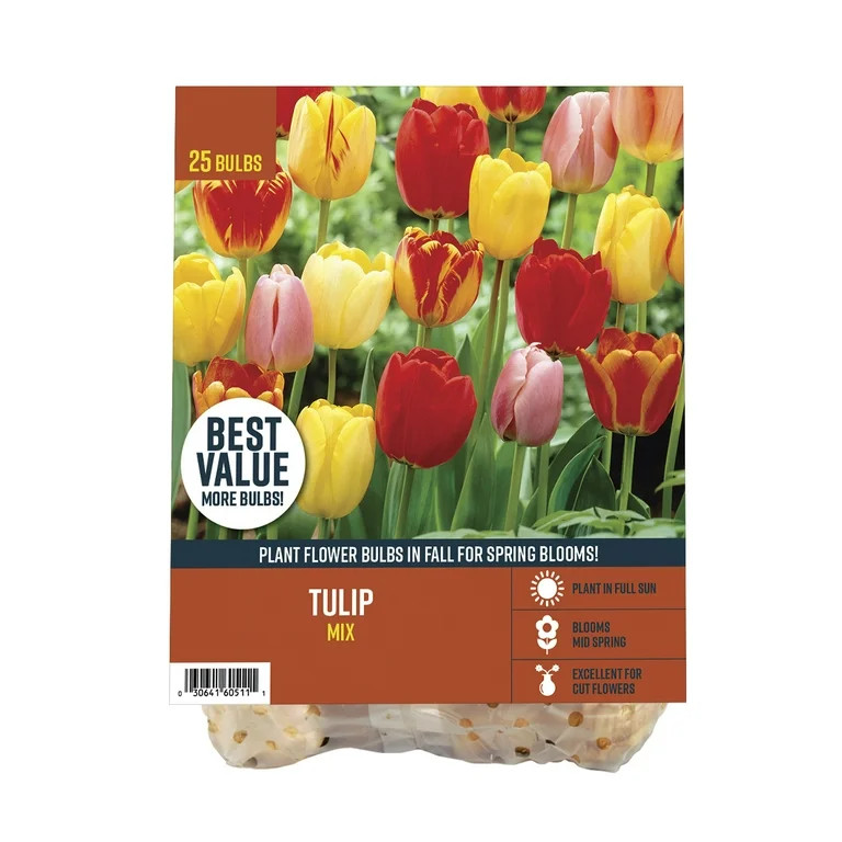 Van Zyverden's Tulip Darwin Hybrid Mix (Set of 25 Dormant Bulbs) Full Sun, Multicolor, Annual | Walmart (US)