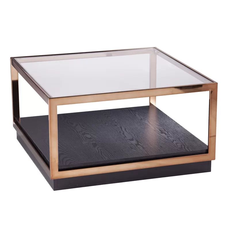 Simental Frame Coffee Table with Storage | Wayfair Professional
