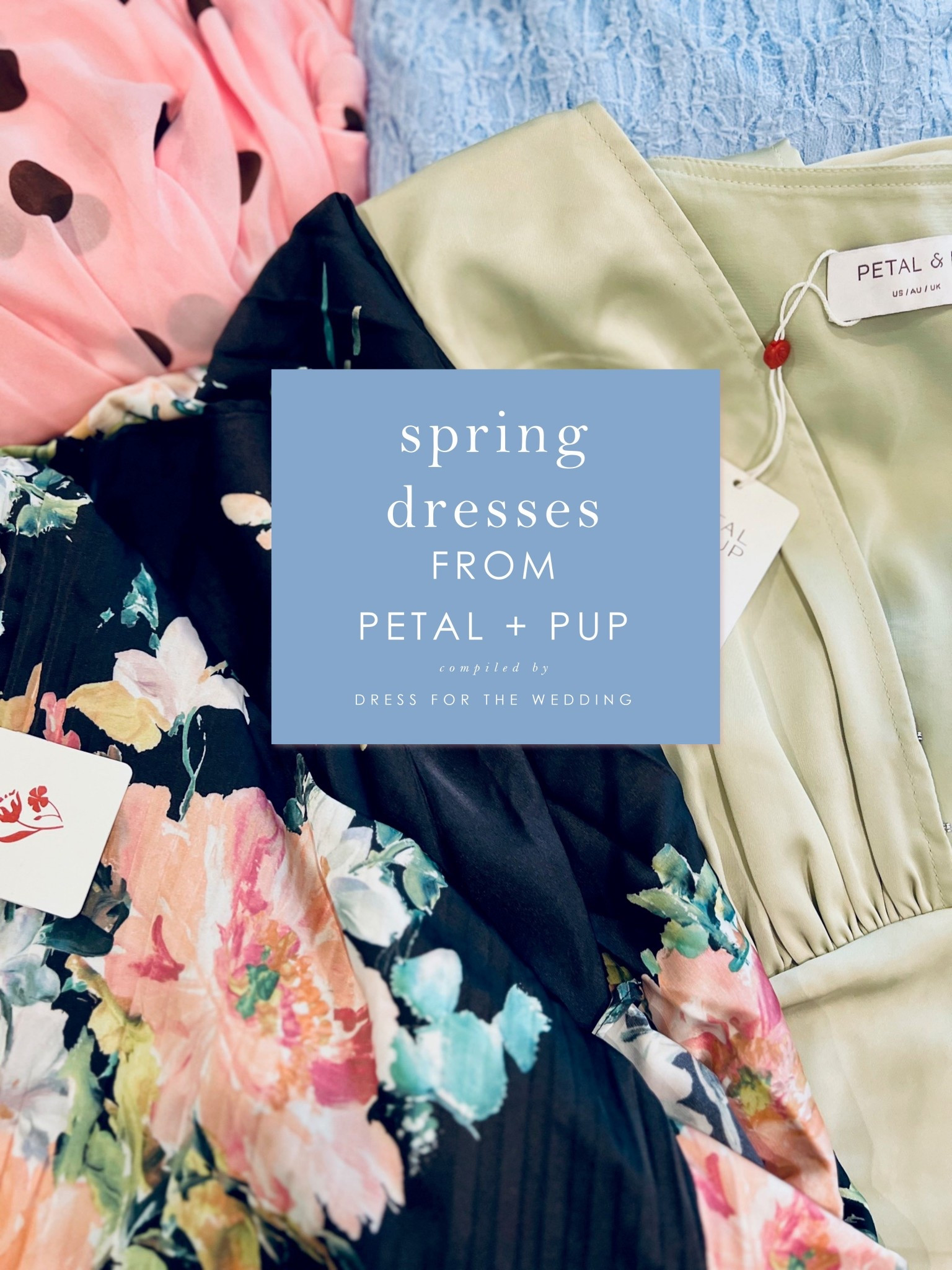 (#ad) Petal & Pup has some of my favorite options for wedding guest dresses under $150 — gorgeous colors and pretty prints that are perfect for spring and summer weddings. I had the chance to try on four new styles from their spring wedding guest collection, and the quality was fantastic! Here are my thoughts:
Black Floral Dress (Kleo One Shoulder Maxi Dress in Black Floral) — I've had my eye on this in several colors. I love the pattern and pleats, and the asymmetrical hem. The cut-out side detail isn't normally my style, but it was subtle enough that I'd still wear it. The floral print is stunning and makes a black dress feel festive and spring-like.
Pink Polka Dot Dress (Keani Maxi Dress) — This surprised me — it's actually a two-piece! It comes with a stretchy pink fitted slip dress, and a polka-dotted sheer overlay that gives the skirt a pretty, sheer look when layered. I love the chiffon tie at the back and the flowy feel. It's sold out in pink-and-brown but comes in other colorways including a yellow floral I love even more!
Blue Stretch Maxi Dress (Kirsten Lace Maxi Dress) — A unique stretchy lace fabric. It's a cool boho-style maxi that would be perfect for a beach wedding— and it was so comfortable!
Sage Green Satin Dress (Ricki Maxi Dress) — My absolute favorite! The satin has a gorgeous weight, so it hangs perfectly without wrinkling. The sage green color and flutter sleeves give it such a romantic look, and best of all — you can wear a normal bra with it!
Thanks to @PetalandPup for letting me check out this collection in person!

#LTKootd #LTKSeasonal #LTKWedding