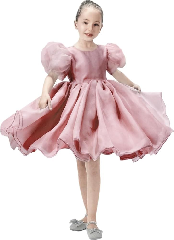 2Bunnies Puff Sleeve Organza Tulle Tutu Smocked Babydoll Flare Ball Gown Princess Flower Girl Dre... | Amazon (US)