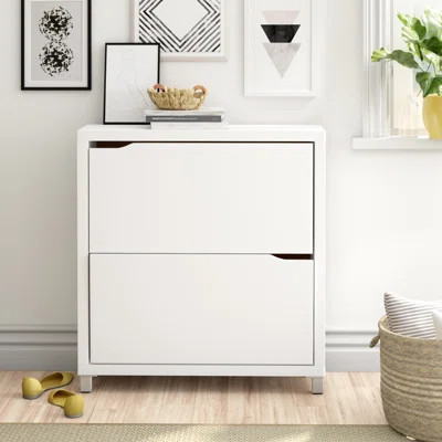 Truax 12-Pair White Shoe Storage Cabinet Latitude Run® | Wayfair North America