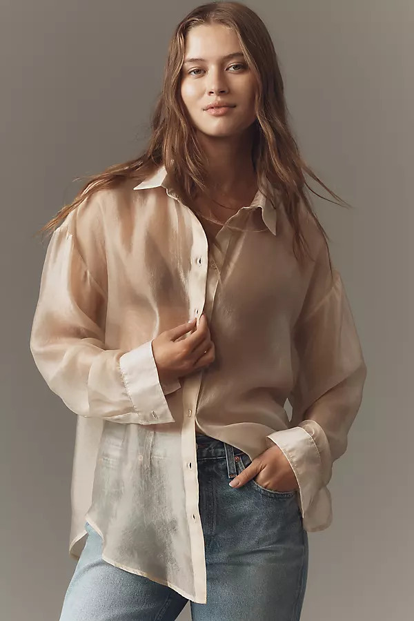 Sheer Long-Sleeve Buttondown | Anthropologie (US)
