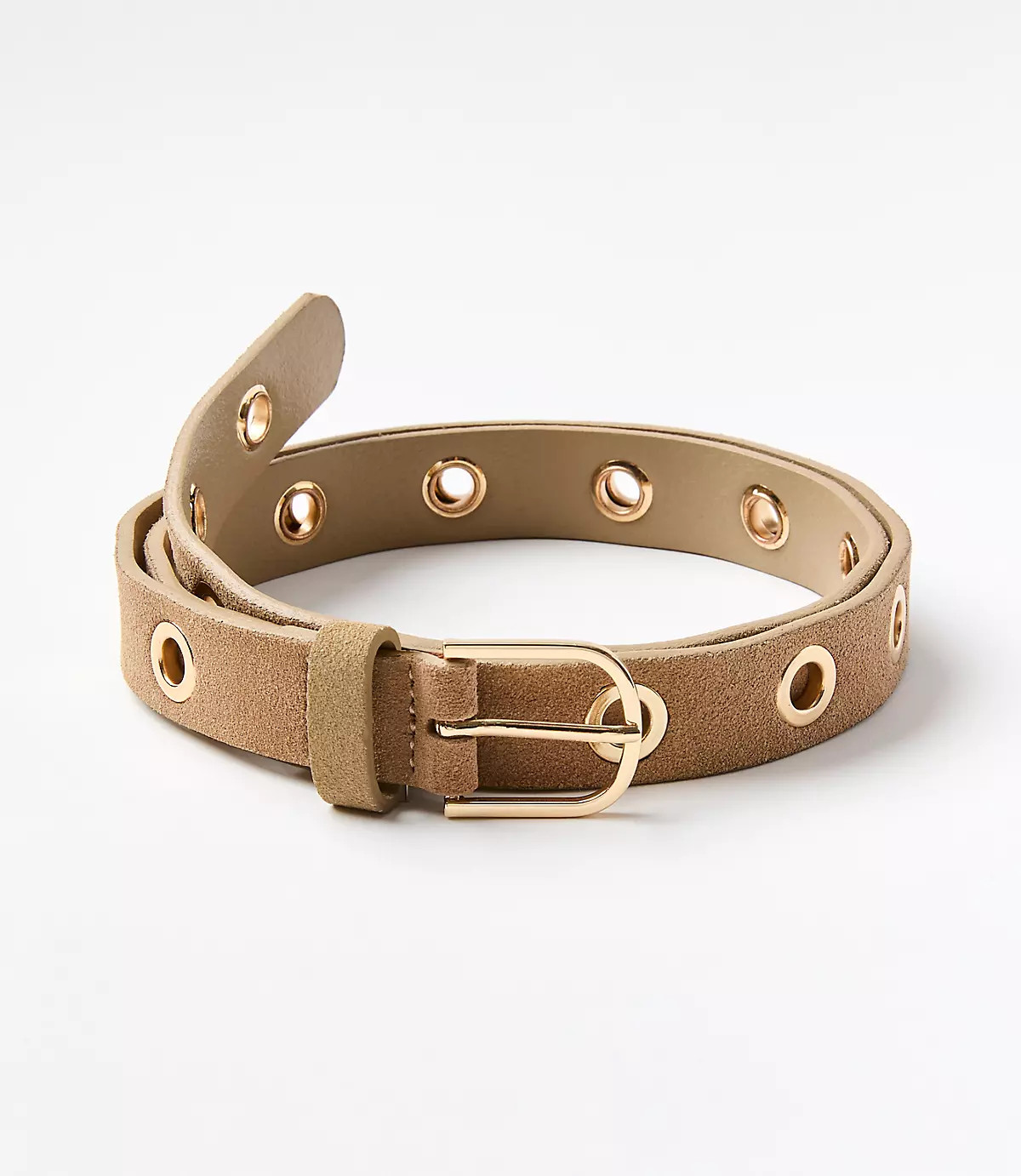 Eyelet Suede Belt | LOFT