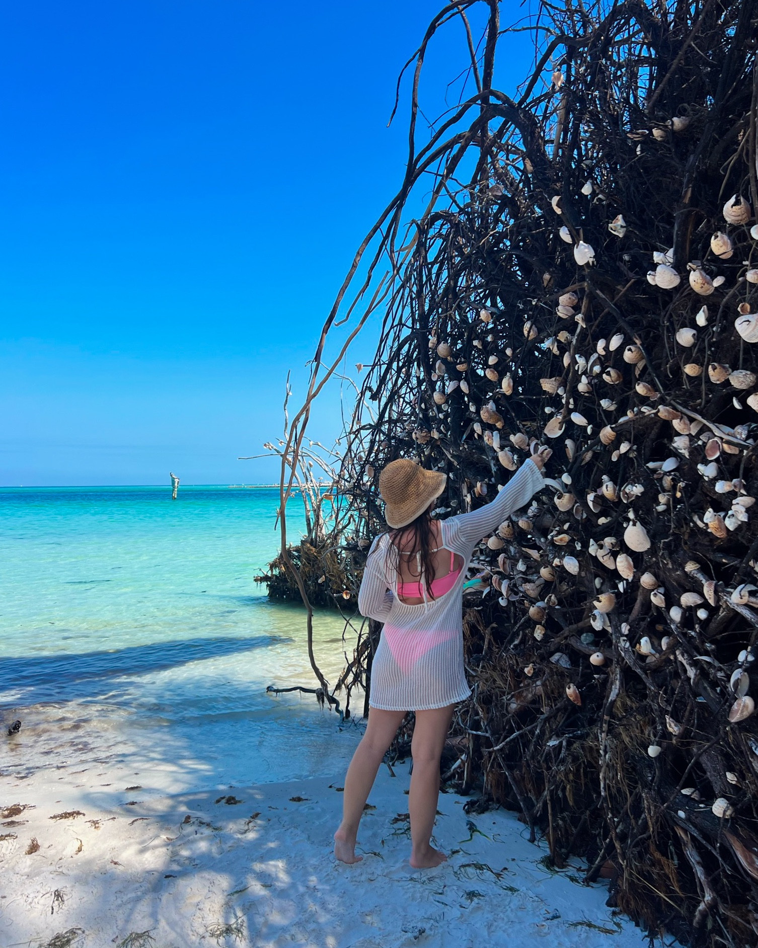 beach coverup + hat makes for that effortless beach style 🌊🐚

#LTKTravel #LTKSwim #LTKSeasonal
