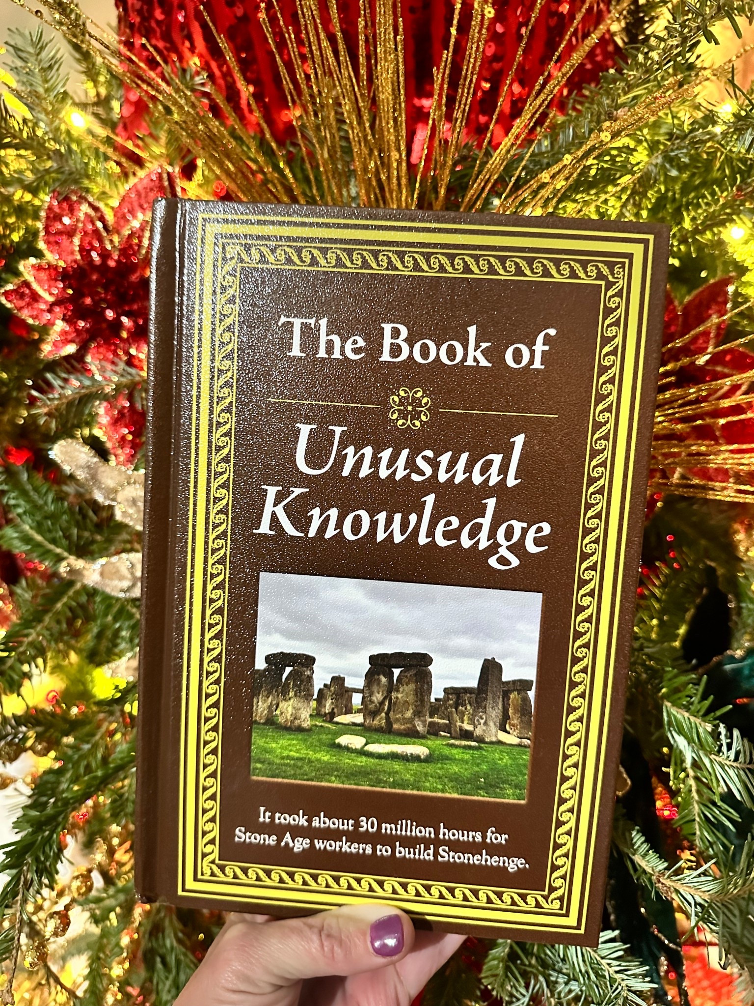 A gift for the one who has it all or is hard to buy for or you’re just not sure what to buy. 

he Book of Unusual Knowledge: Big Book of Fascinating Facts & Information | Hardcover Gift for Trivia Buffs, Curious Minds, Adults, Dad & Knowledge Seekers

#LTKMens #LTKGiftGuide