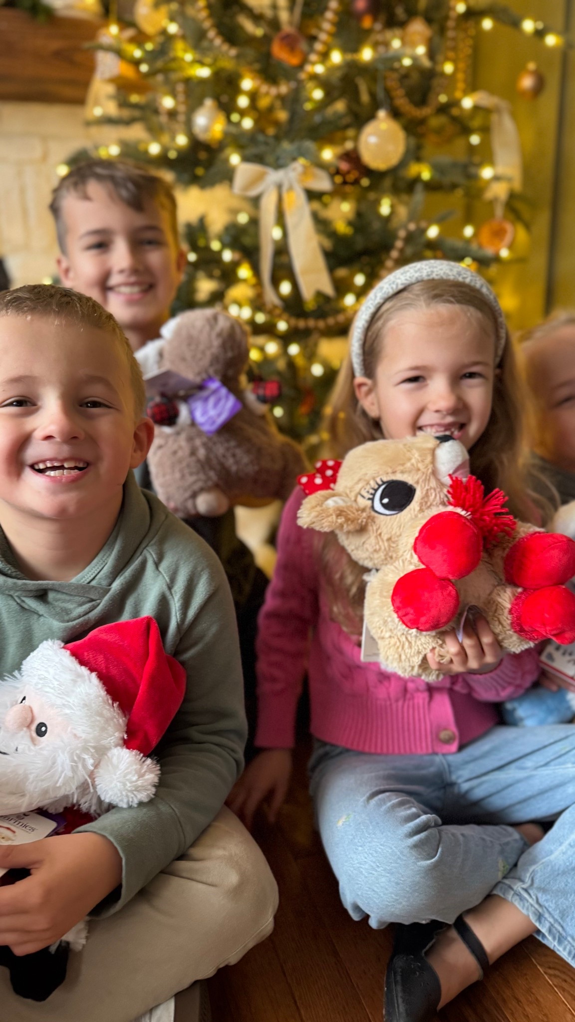 Rudolph and Christmas Warmies! 

#LTKKids #LTKHoliday #LTKGiftGuide