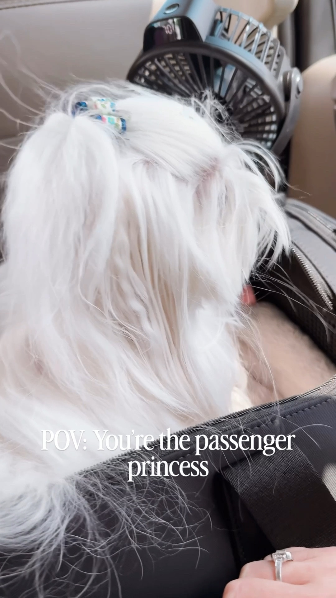 Passenger princess with her own personal fan. I can’t say enough about how great these clip on fans are! We were out all day yesterday and they lasted all day long on one charge. 

#LTKTravel #LTKBaby #LTKPets