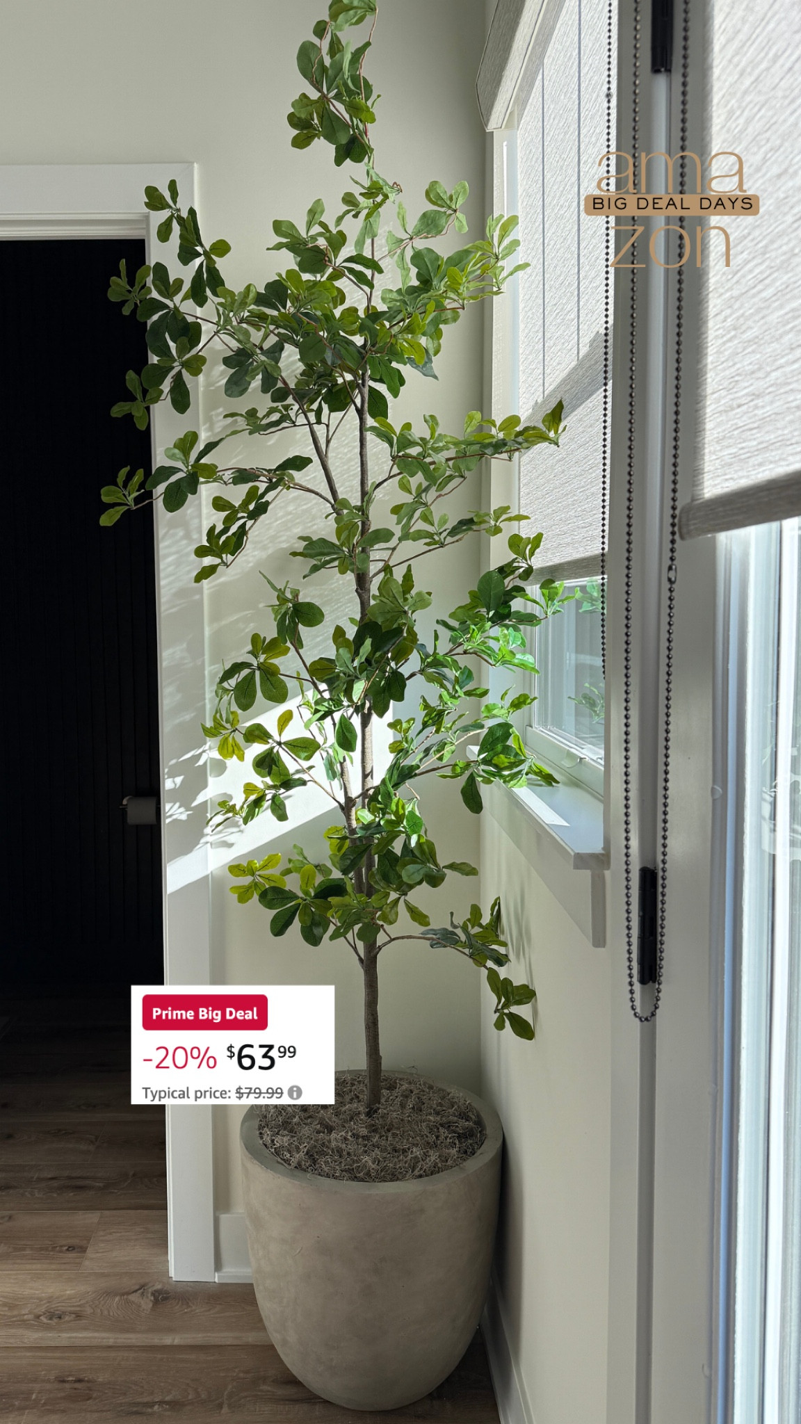 Amazon Faux Tree

#LTKHome #LTKStyleTip #LTKxPrimeDay