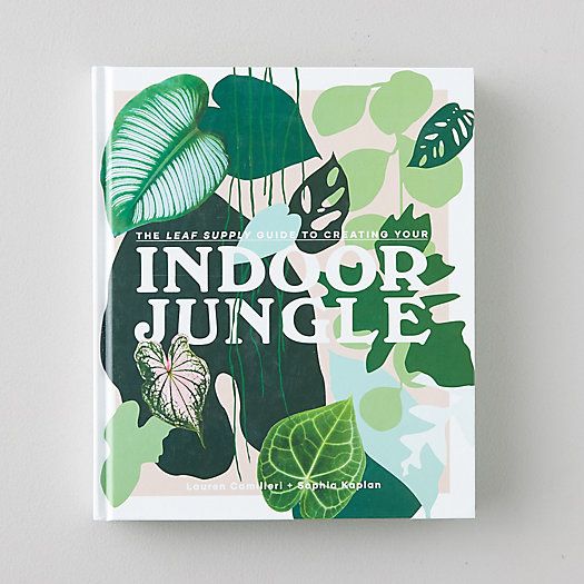 Indoor Jungle | Terrain