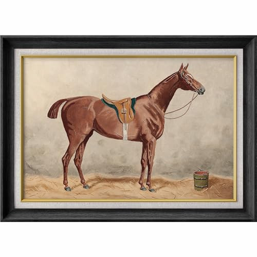 MUDECOR Premium Framed Wall Art Classic Saddled Horse with Saddle and Tack Illustrations Fine Art Relax/Calm Multicolor for Living Room, Bedroom, Office - 26"x36" Black | Amazon (US)