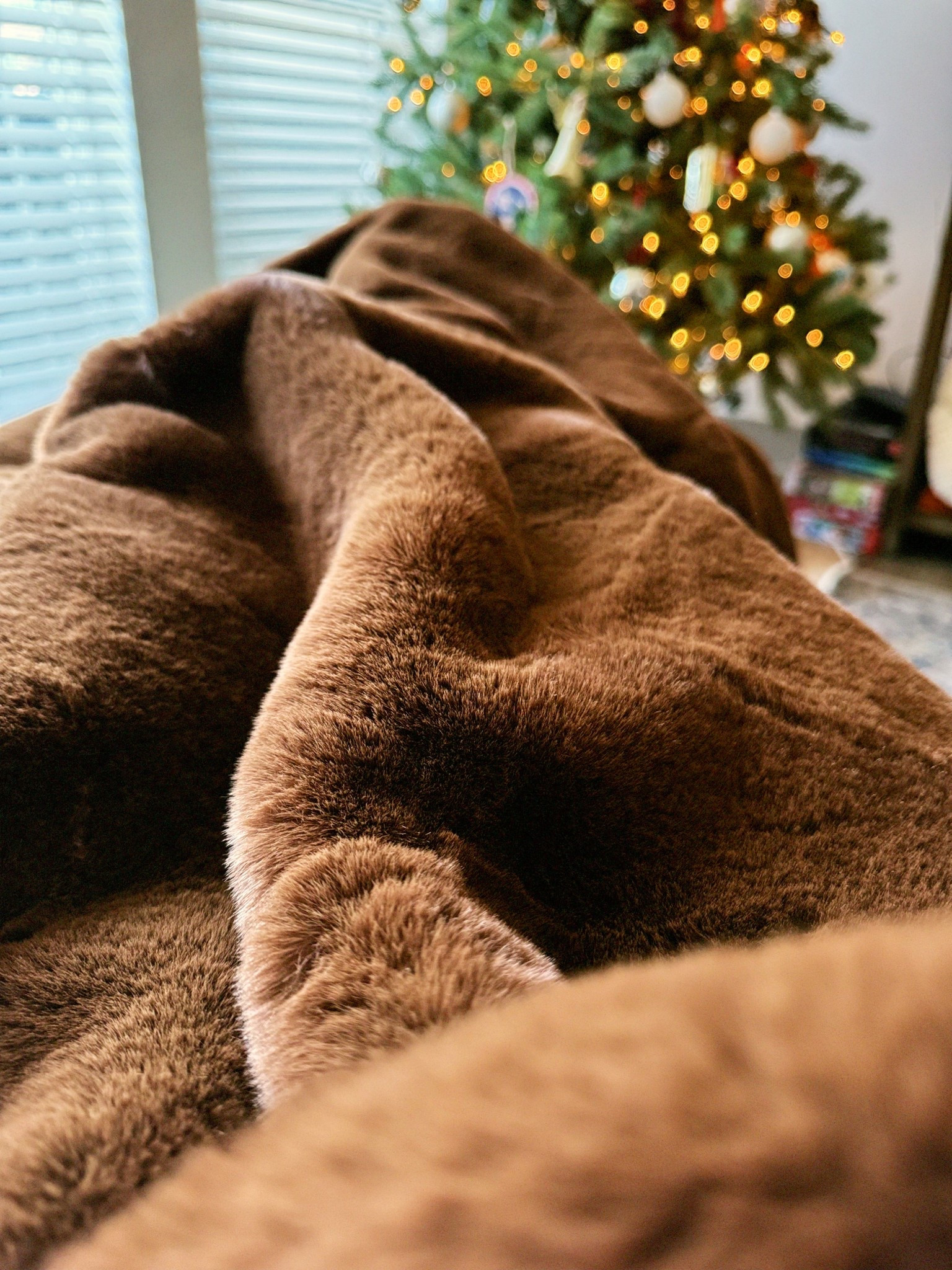 The VIRAL blanket from Anthropologie on sale! 🔥



#LTKFindsUnder100 #LTKHome #LTKSaleAlert