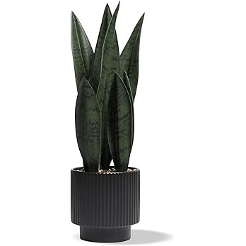 Artificial Plants Sansevieria Snake Plant with Black Ceramic Pot Desk Small Fake Plant for Indoor... | Amazon (US)