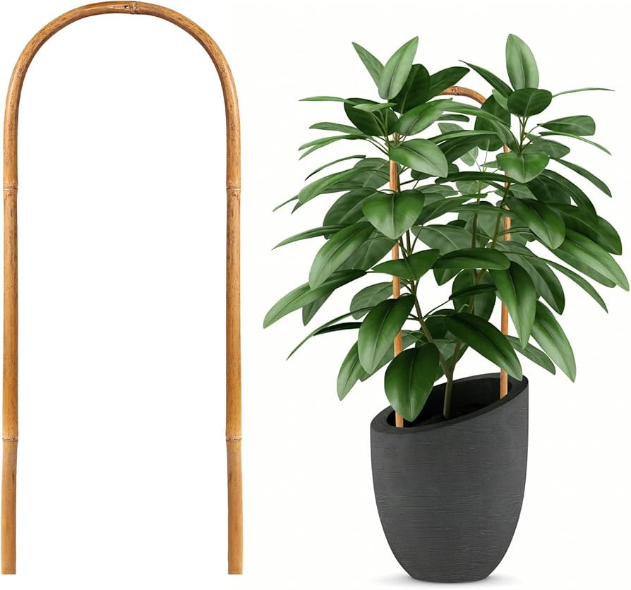 20 Pack Bamboo Trellis, Natural Bamboo Plants Trellis U-Hoop, 16" Garden Trellis with Twist Ties,... | Amazon (US)