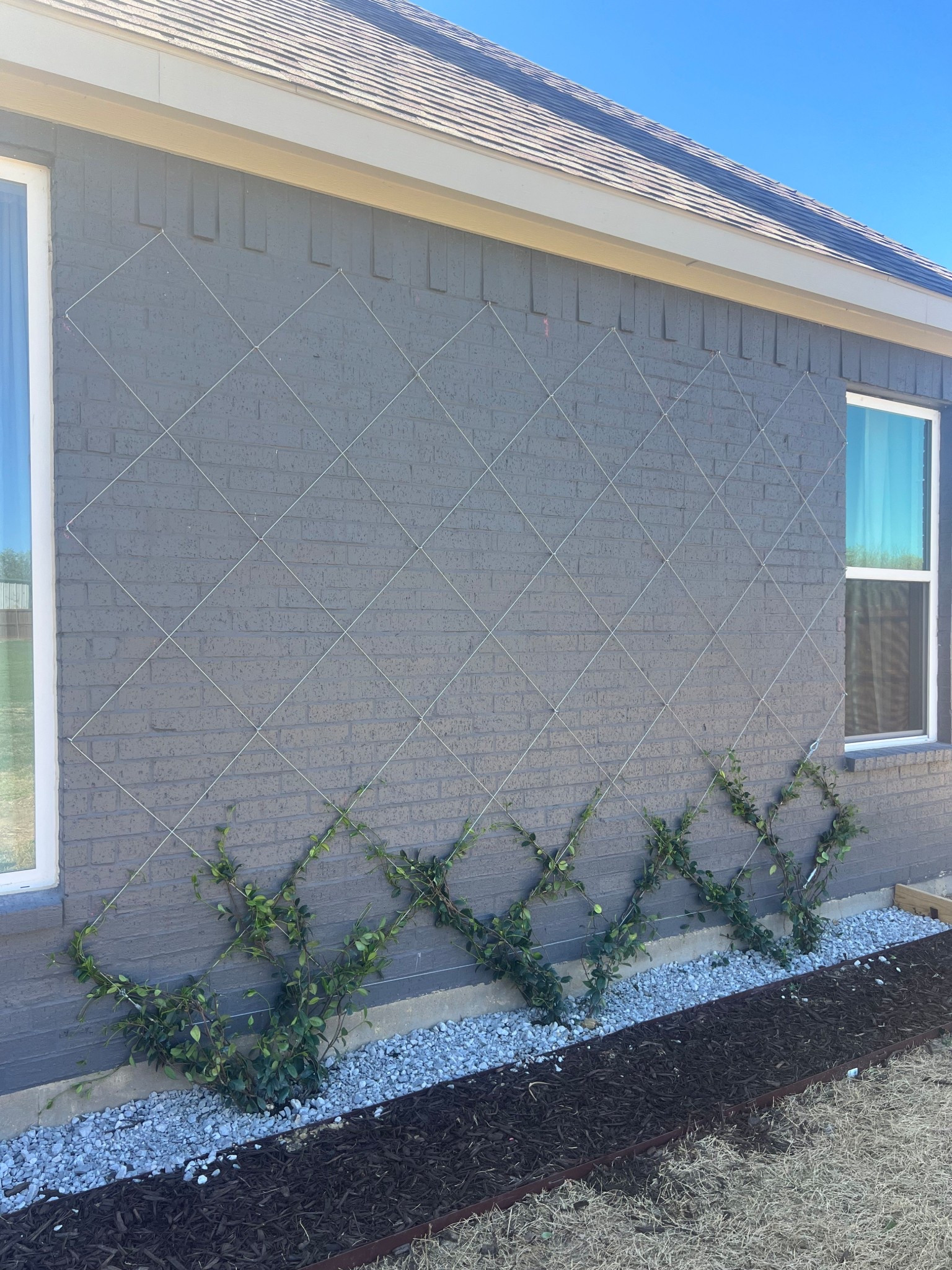 Star Jasmine trellis wall 🌿🌸

#LTKHome #LTKWatchNow