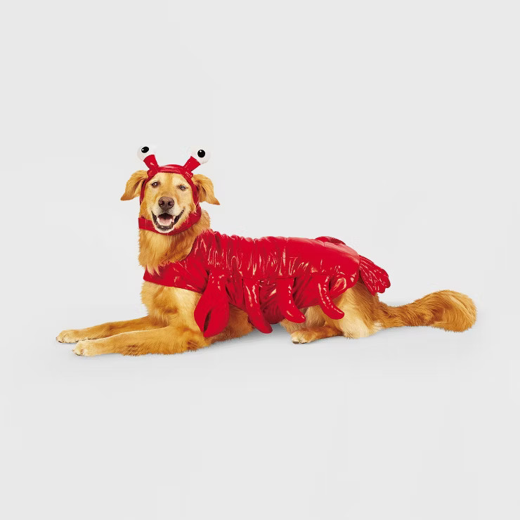Lobster Dog and Cat Costume - Hyde & EEK! Boutique™ | Target