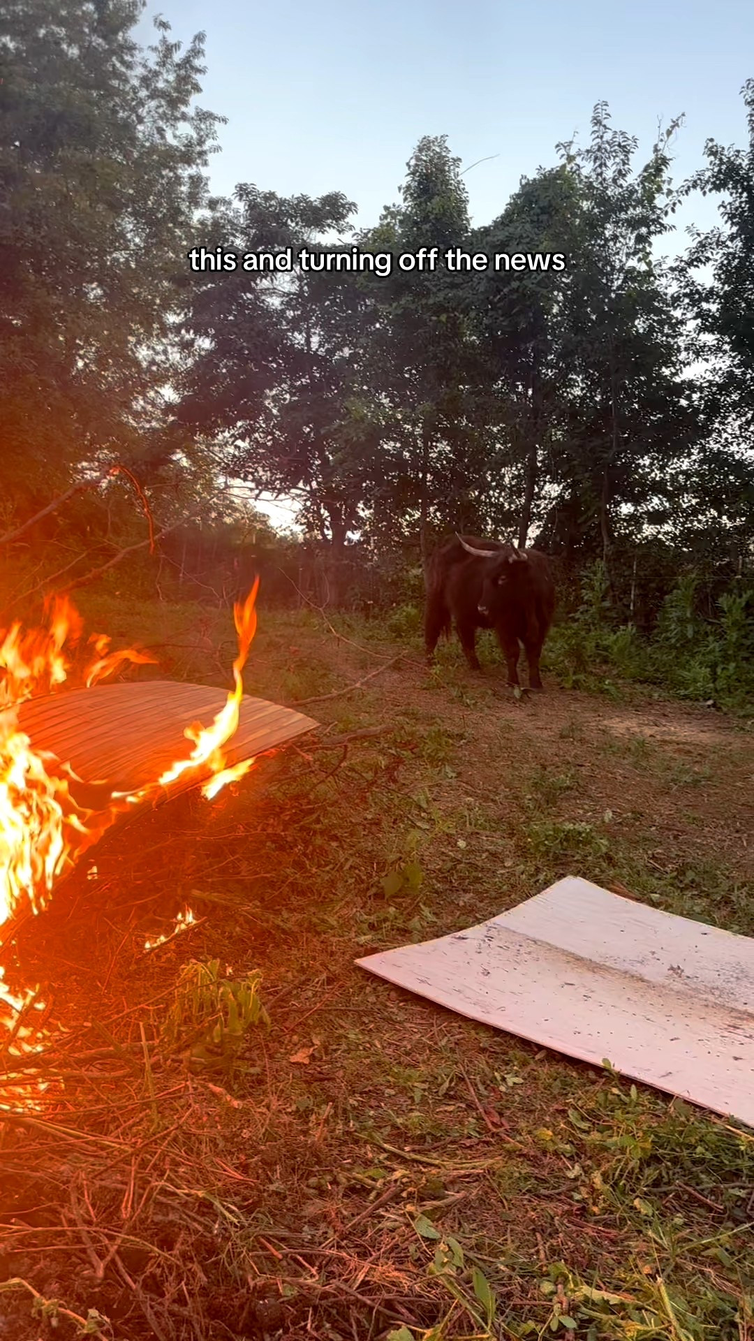 Throw in no cell service while you’re at it 

#LTKHome #LTKFamily #LTKPets