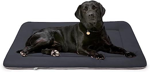 Hero Dog Large Dog Bed Crate Pad Mat Cute Paw Pet Beds for Dogs, 42-Inch Washable Dog Sleeping Ma... | Amazon (US)