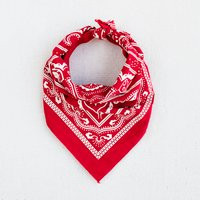 Red Bandana, Hand Screen Printed, Classic Bandana Design, For Women & Men, 100% Cotton Scarf, Chef Gift, USA Made, Hiking Gift | Etsy (US)