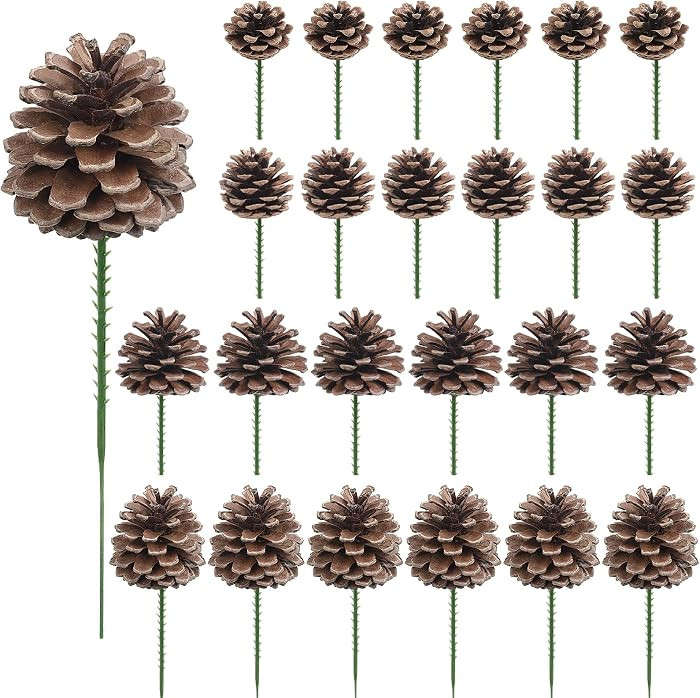 24 Pieces Christmas Pine Cones Decorations, Various Sizes Natural Pine Cones with Wired Picks, Na... | Amazon (US)