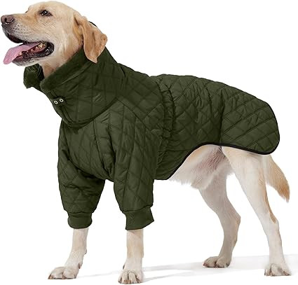 Warm Coat with Double Zipper, Winter Dog Clothes for Small to Large Dogs, Turtleneck Puffer Jacke... | Amazon (US)