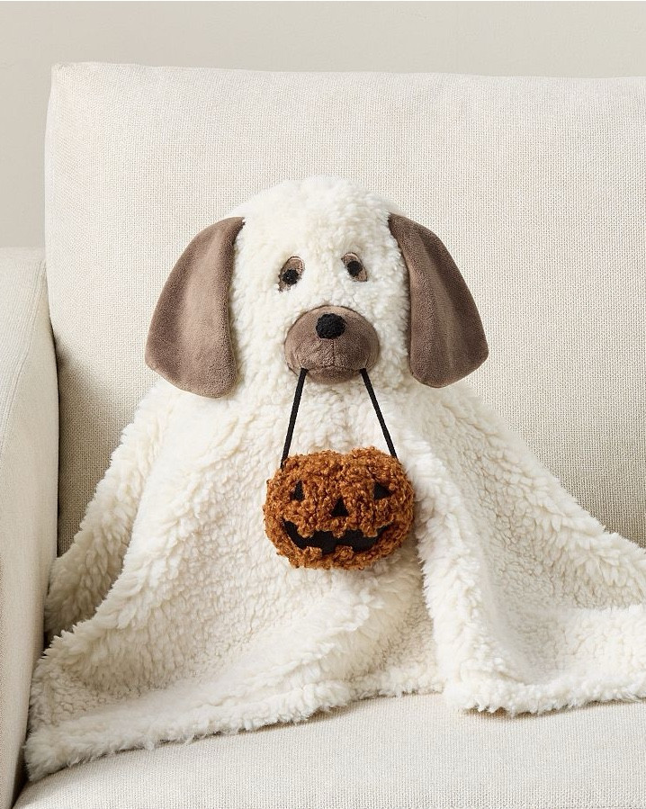 So this Doug The Dog Ghost Pillow is adorable! I know it’s early but this looks like something that could sell out later, don’t you think? Also, is this 
Ghost Candy Bowl and  Lit Ghost Dog that’s so cute. 

#LTKSeasonal #LTKHome