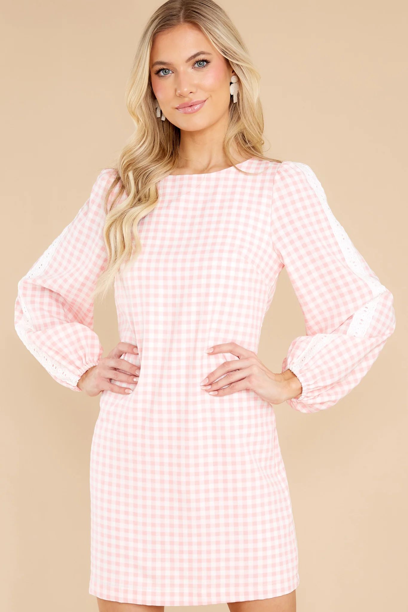 Carefreely Content Pink Gingham Mini Dress | Red Dress 
