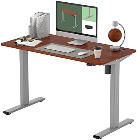 Flexispot EG1 Standing Desk 48 x 24 Inches with Splice Board Height Adjustable Desk Electric Sit Sta | Amazon (US)