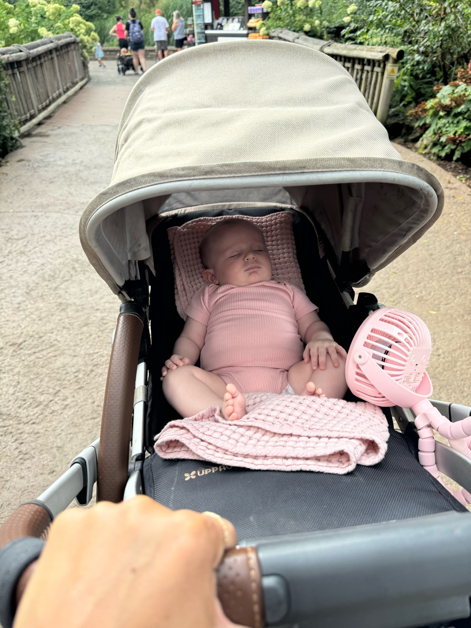 Zoo day with the essentials (& sweetest babes💕)…the UppaBaby insert will be a game changer when it comes in 🙌🏻

#LTKActive #LTKKids #LTKBaby