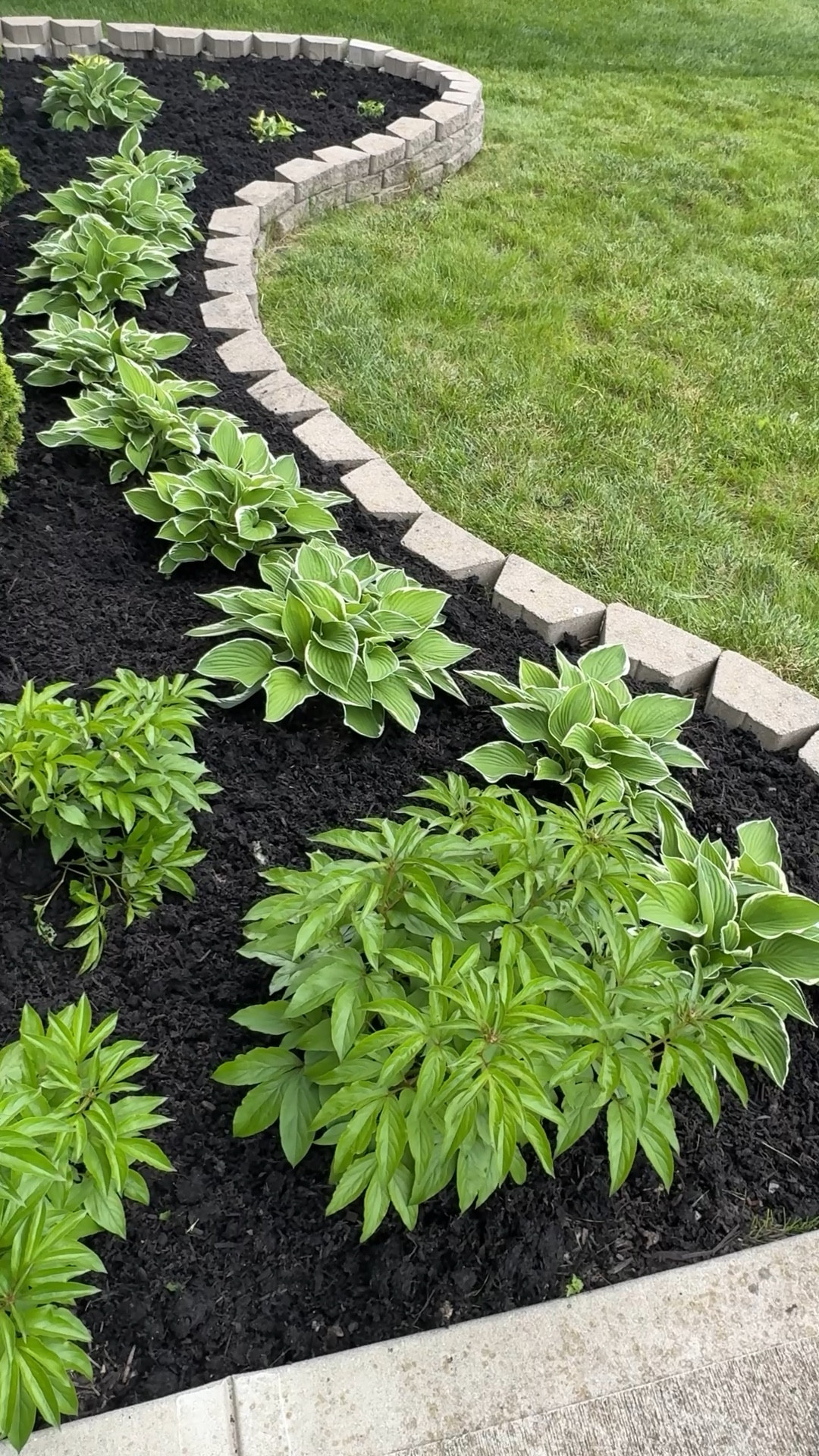 Grab this grandpa’s weeder to take care of those pesky weeds…the perfect gardening tool. Shop below 

Gardening tool home

#LTKdayinmylife #LTKHome #LTKSaleAlert