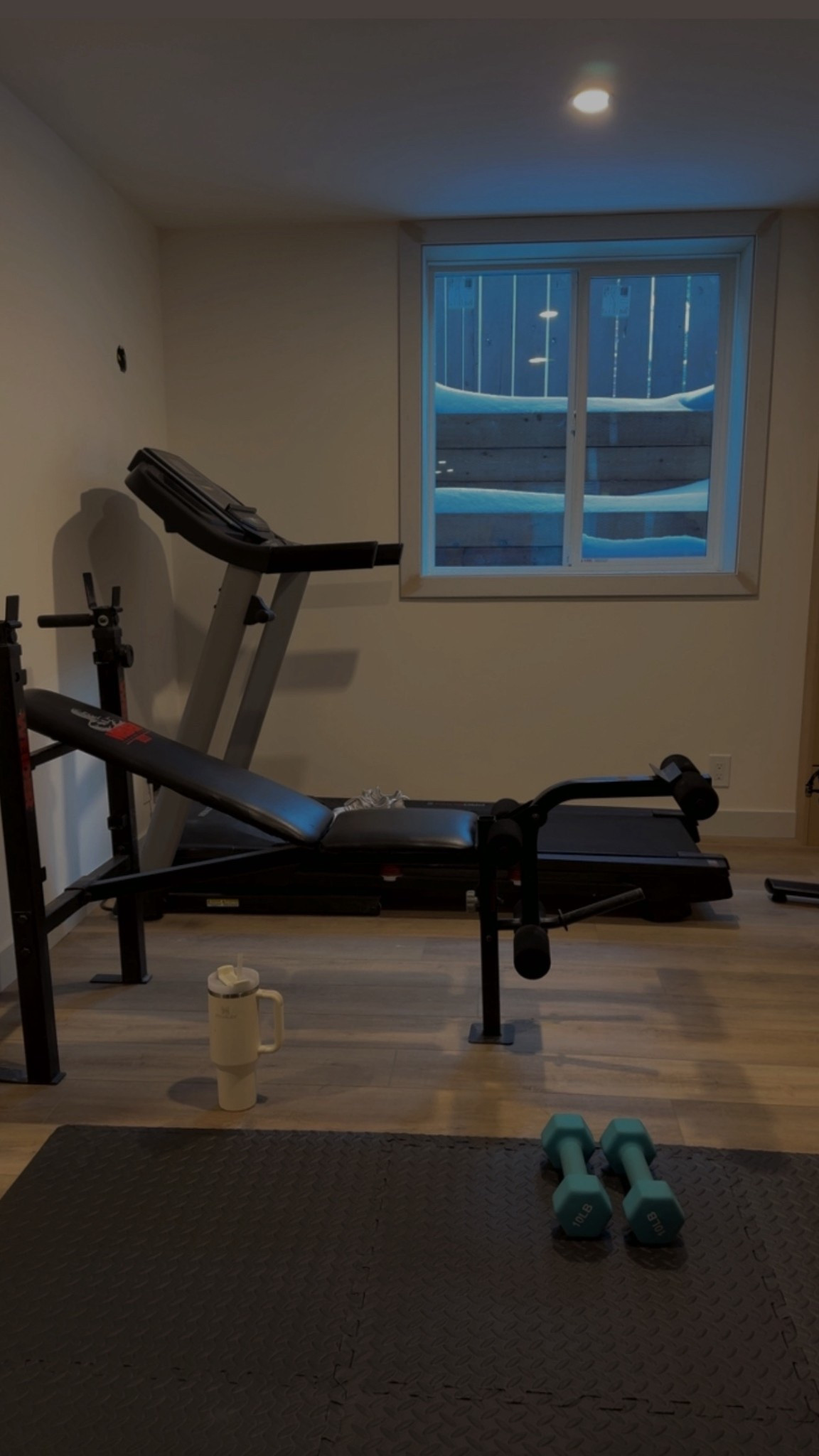 Home Gym Workout Setup ✌🏼 #homegym 

#LTKfitness #LTKsale