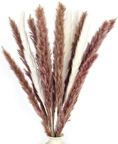 DomeStar 36PCS Pampas Grass, Natural Dried Pampas Reed Grass Plume Wedding Flower Bunch | Amazon (US)
