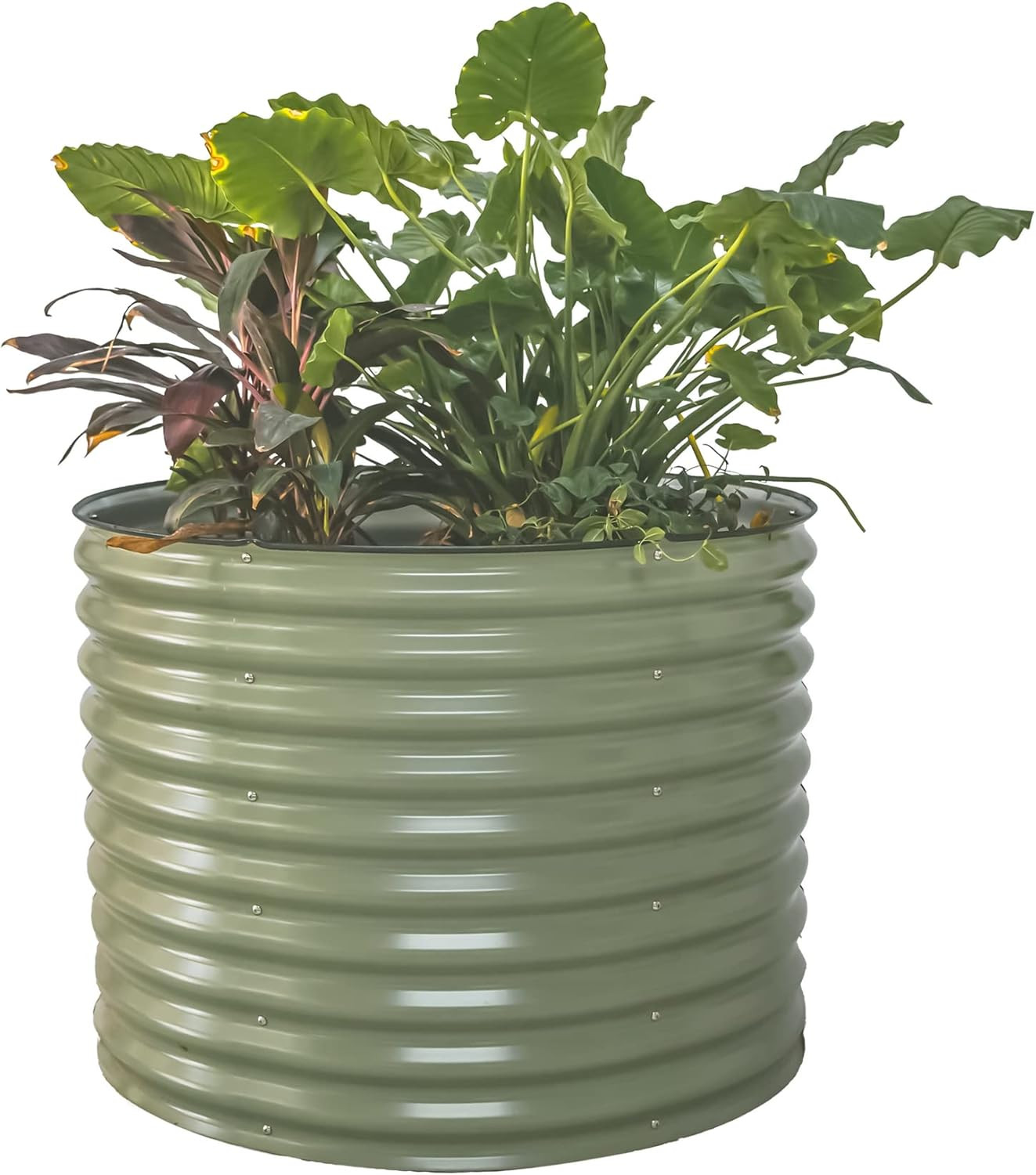 Vego garden 32" Tall 42" Round Raised Garden Bed Raised Bed Planter Box for Vegetables Flowers Pa... | Amazon (US)