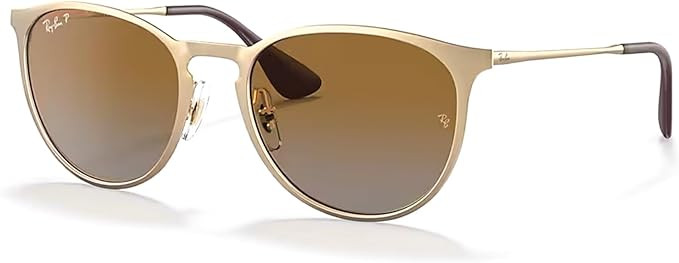 Ray-Ban RB3539 Erika Metal Rounded Sunglasses for Women +BUNDLE with ACCESSORY EYEWEAR KIT | Amazon (US)