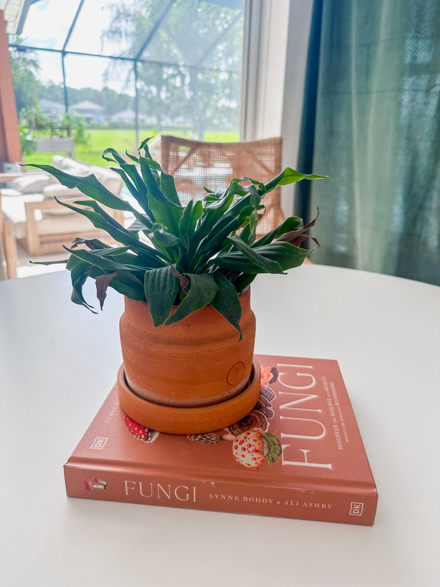 Fungi coffee table book / home decor / boho home touches 

#LTKStyleTip #LTKHome #LTKFindsUnder50