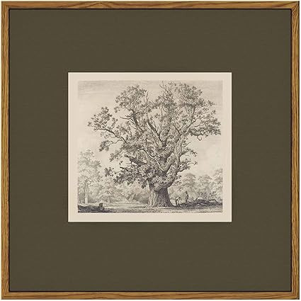 InSimSea Vintage Tree Canvas Wall Art, 12x12 Square Framed Botanical Sketch Print, Retro painting... | Amazon (US)