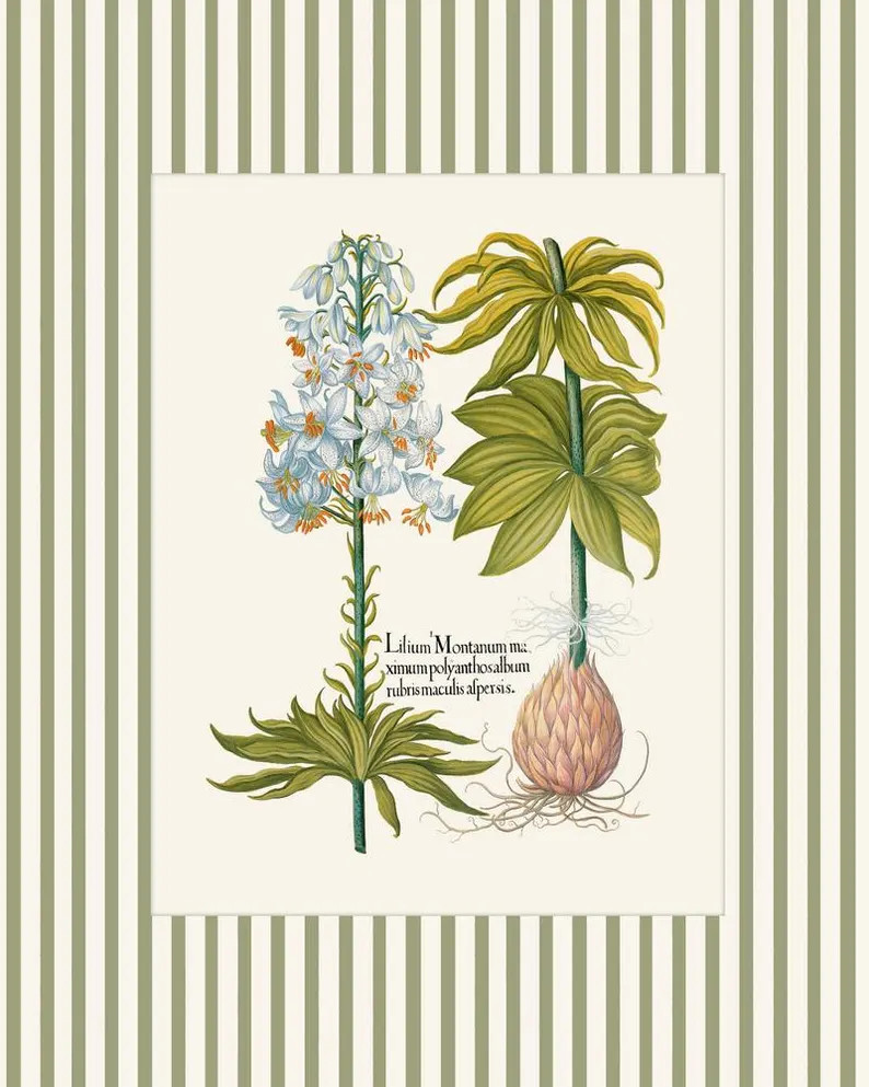 Green Striped Antique Botanical Print Set No. 3, Vintage Botanical Prints, Botanical Art, Giclee,... | Etsy (US)