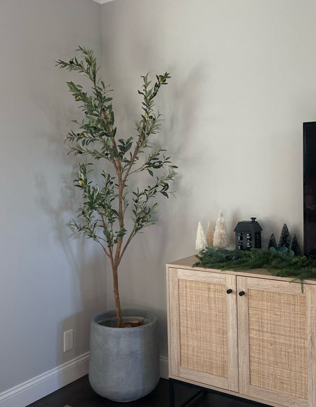 The most perfect planter for my faux olive tree. Comes in a 3 pack: small, medium, large 

Amazon home, Amazon finds, planter, faux olive tree 

#LTKhome