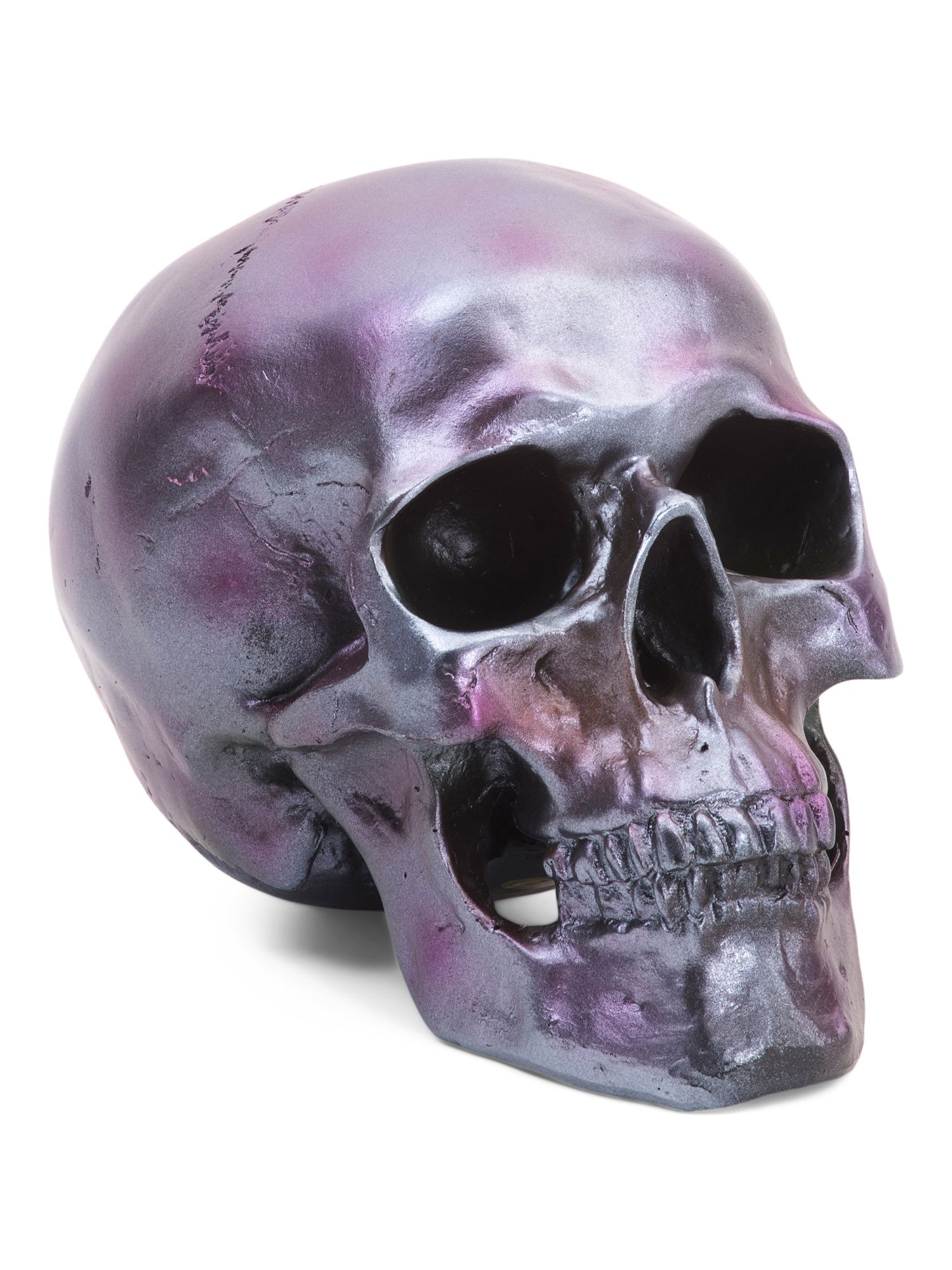 Lustrous Skull Decor | TJ Maxx